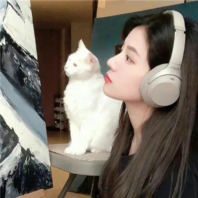 天降神犬2
